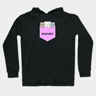 A cat Hoodie